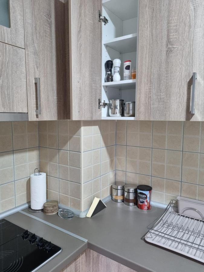 Apartman Ristanovic Banja Koviljača Esterno foto